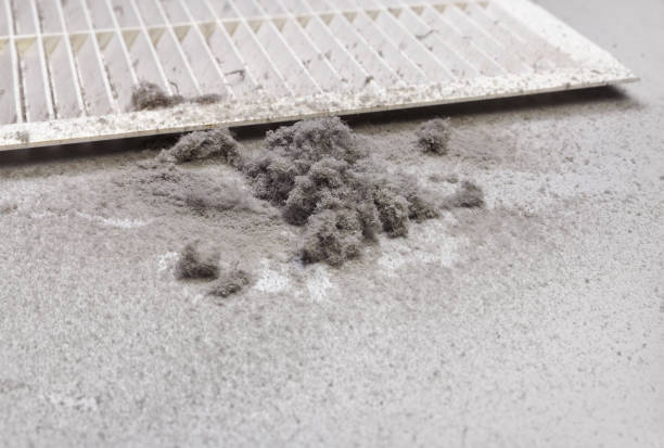 Best Air Vent Cleaning Services  in Shakopee, MN
