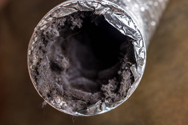 Best Dryer Vent Cleaning Services  in Shakopee, MN