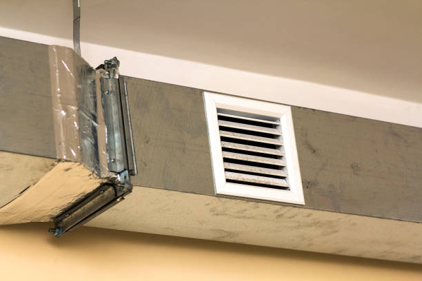 Air Duct Mold Removal in MN
